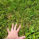 touching grass