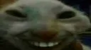 XDD