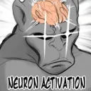 Neuron Activation
