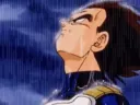 Vegeta in Rain