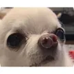 fué