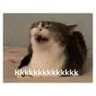 kkkkkkkk