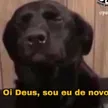 oideus