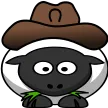 Cowboy Sheep