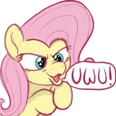Flutter UwU