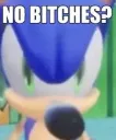 no bitches?