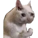 teamwork makes the dream work