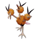 Dodrio