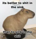 sinkintheshit