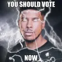 YOU SHOULD VOTE NOW