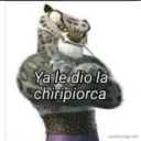 Ya le dio la chiripiorca