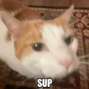 sup