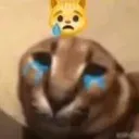 Flop :crying_cat_face: