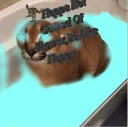 The Floppa