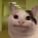 Beluga in the Backrooms