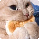Cat Bread