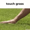 touch sum grass baby