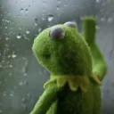 Sad Kermit