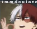 ImMaCuLaTe