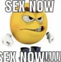 sex now