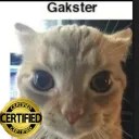 certified gakster moment