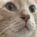 Hooter seen some shit