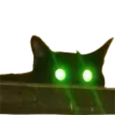 CatStareLurk