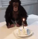 monkey birthday cake