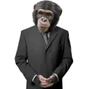 Prime Libertarian Candidate