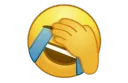 facepalmemojilmao