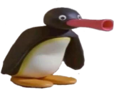 noot noot noot noot