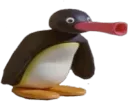 noot noot