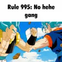 Rule 995: No hehe gang