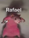 Rafael