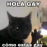 hola gay