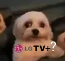 lgtv+