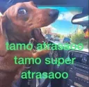 tamo atrasao