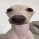 no comment .gg/banners