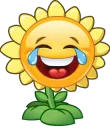 Funny Flower