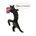 Wanna sprite cranberry?