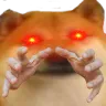 angry doge