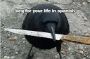 birb threaten 