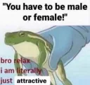attractivegender