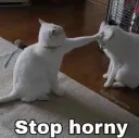 Stop Horny