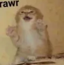rawr