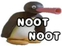 NOOT NOOT