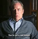 you're not a real lawyer