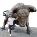 gibonbull