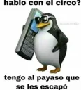 circo