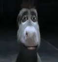 donkey